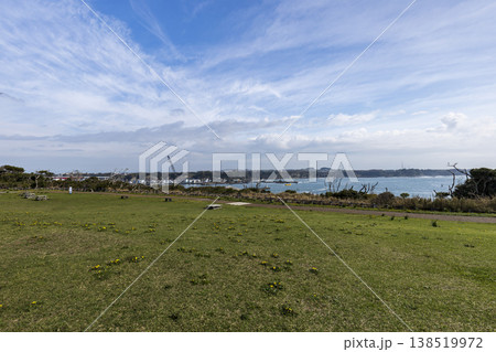 神奈川県最南端の城ヶ島の春 神奈川県最南端の城ヶ島の春 138519972