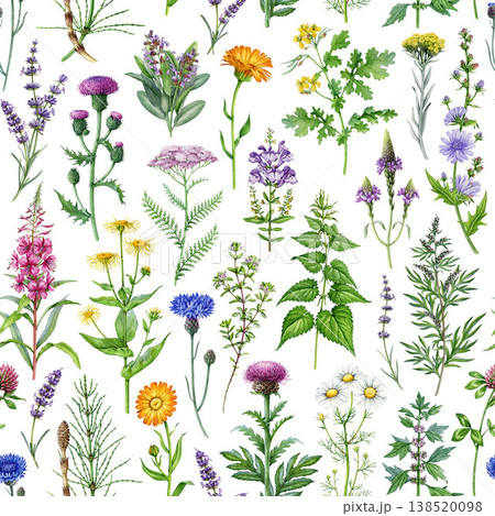 Apothecary herbs on white seamless pattern decor element. Hand drawn wildflower botanical watercolor illustration, for herbal medicine, natural cosmetics, packaging, textile and surface design 138520098