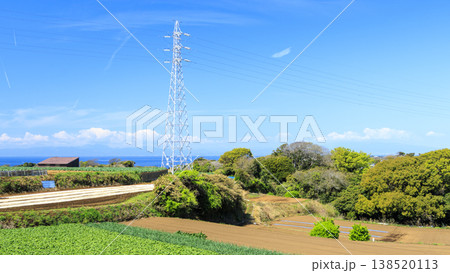 キャベツ・大根の三浦市の名産 138520113