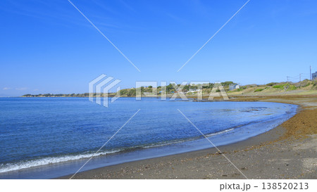 三浦半島の三戸浜海岸の春 三浦半島の三戸浜海岸の春 138520213