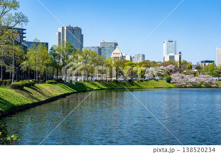桜咲く永田町の風景 桜咲く永田町の風景 138520234