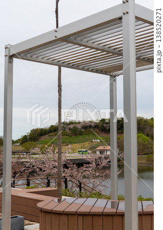 モリコロパークの桜が彩る春の公園風景 モリコロパークの桜が彩る春の公園風景 138520271