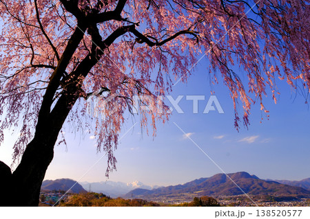 枝垂桜と谷川岳 枝垂桜と谷川岳 138520577