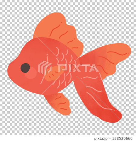 金魚 138520660
