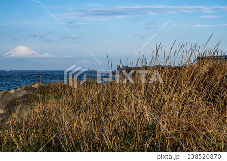 城ヶ島の春 138520870