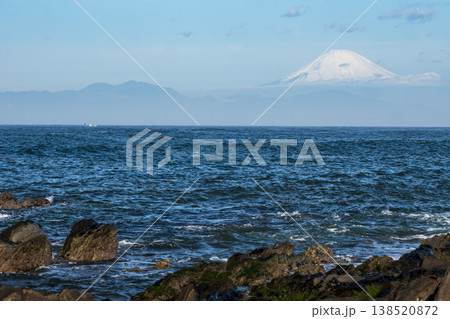 城ヶ島の春 138520872