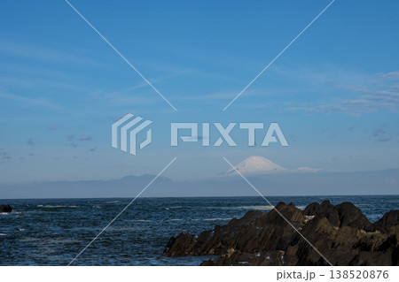 城ヶ島の春 138520876