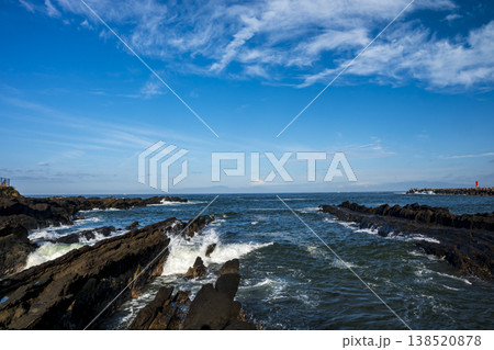 城ヶ島の春 138520878