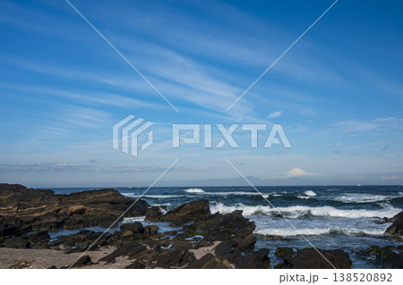 城ヶ島の春 138520892