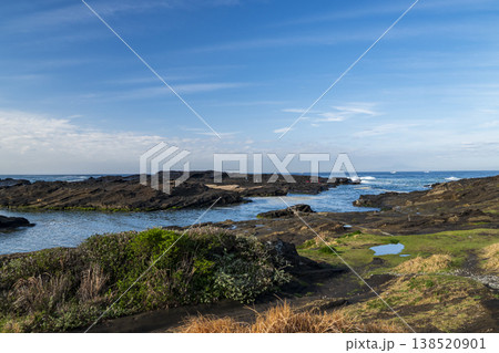 城ヶ島の春 138520901