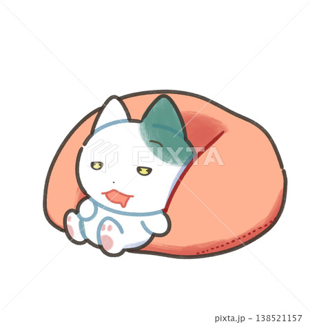 まどろむ猫 138521157