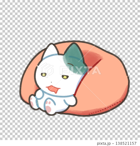 まどろむ猫 138521157