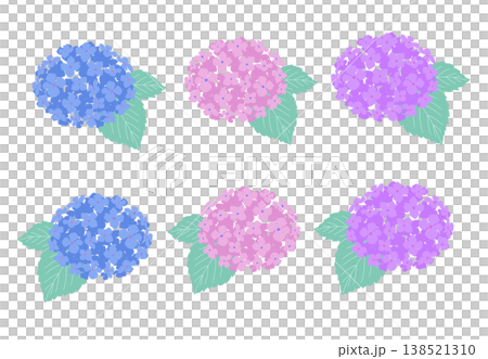Colorful hydrangea illustration set Colorful hydrangea illustration set 138521310