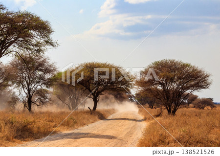 Road in Tarangire national park in Tanzania, Africa Road in Tarangire national park in Tanzania, Africa 138521526