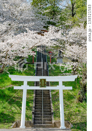 桜が満開の寺家熊野神社(看板・電線削除済み) 桜が満開の寺家熊野神社(看板・電線削除済み) 138521583