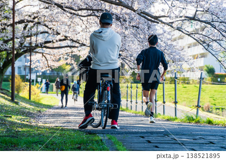 桜が咲くサイクリングロード 138521895