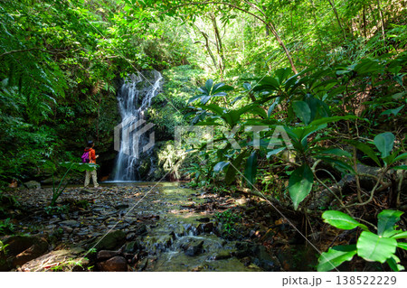 やんばるの森と滝 138522229