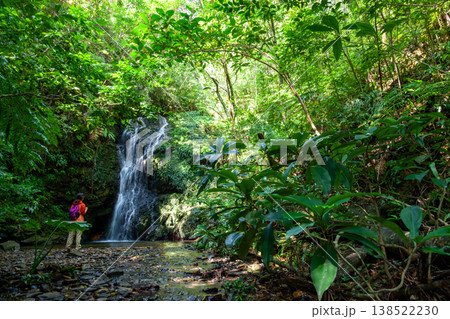 やんばるの森と滝 138522230