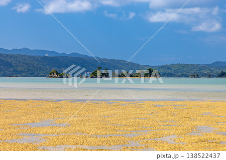 沖縄県名護市屋我 潮が引いた羽地内海のミルキーブルーの海と小島の景色 沖縄県名護市屋我 潮が引いた羽地内海のミルキーブルーの海と小島の景色 138522437