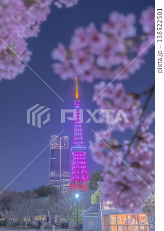 芝公園の夜桜 芝公園の夜桜 138522501