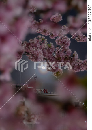 夜桜と朧月夜 夜桜と朧月夜 138522502