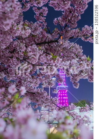 芝公園の夜桜 芝公園の夜桜 138522596