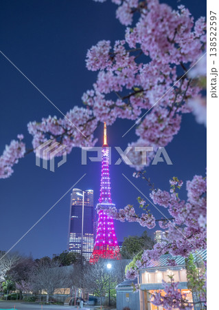 芝公園の夜桜 138522597