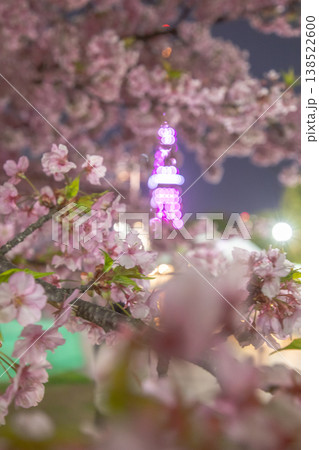 芝公園の夜桜 138522600