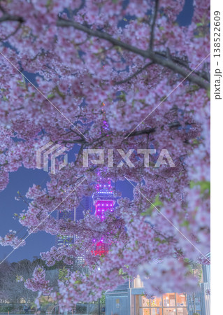 芝公園の夜桜 芝公園の夜桜 138522609