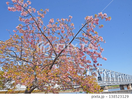 江戸川河口風景 江戸川河口風景 138523129