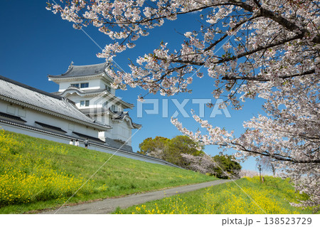 青空に映える城とさくら 138523729