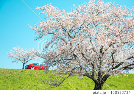 満開の桜と赤い車 138523734