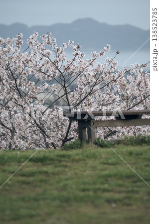 鳥取県米子市の春の米子城跡 鳥取県米子市の春の米子城跡 138523785