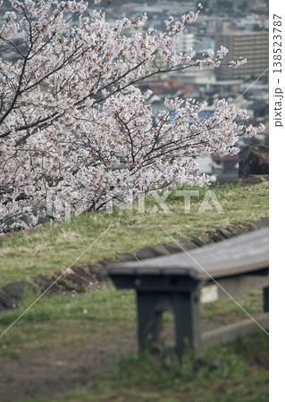 鳥取県米子市の春の米子城跡 138523787