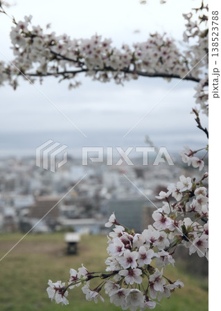 鳥取県米子市の春の米子城跡 鳥取県米子市の春の米子城跡 138523788