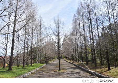 神戸市立森林植物園 神戸市立森林植物園 138523921