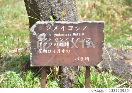 神戸市立森林植物園 138523929