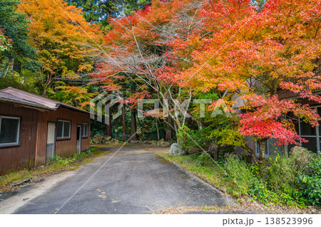 新城市の鳴沢の滝周辺の紅葉の風景(愛知県) 新城市の鳴沢の滝周辺の紅葉の風景(愛知県) 138523996