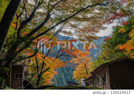 新城市の鳴沢の滝周辺の紅葉の風景(愛知県) 138524017