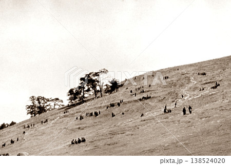 古写真　1958年　奈良公園の若草山 138524020