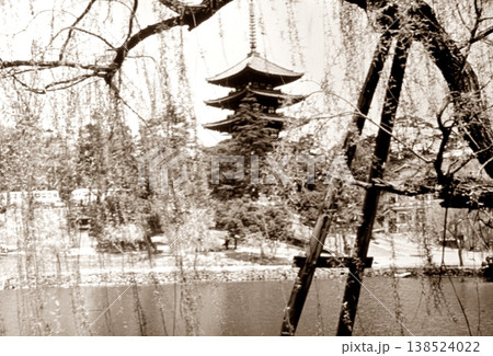 古写真　1962年　奈良公園の猿沢池と興福寺五重塔 138524022