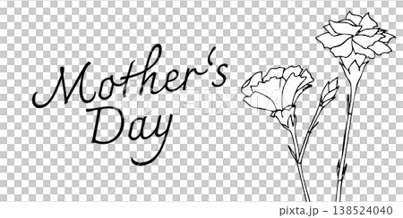 Carnation horizontal banner background material | Flowers, Mother's Day, Line drawing, White space Carnation horizontal banner background material | Flowers, Mother's Day, Line drawing, White space 138524040
