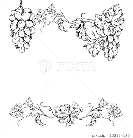Vineyard frame of intricate branching vine, ripe grape bunches, leafy twigs and young creepers. Isolated hand drawn ink vector illustration. Vineyard decor, wine labels, greeting cards and postcards. 138524189
