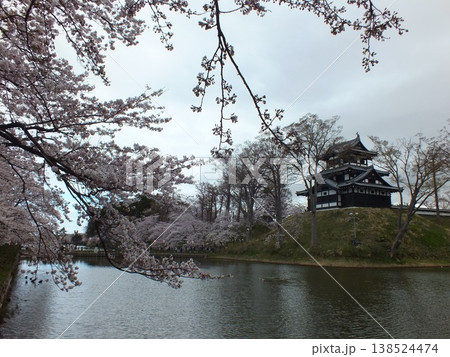 高田城址公園の桜 138524474