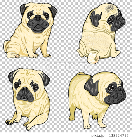 巴哥犬（4種） 138524755