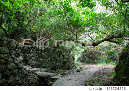 南城市玉城の浜川御嶽 138524828