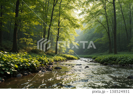 森の中を流れる小川の風景 138524931