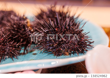 ムラサキウニの殻 138524962