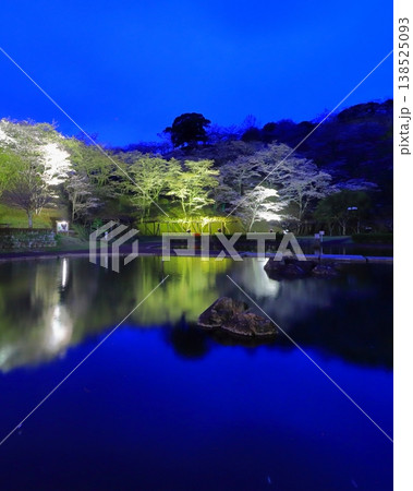 満開の桜（ライトアップ・吉四六ランド・臼杵市・縦構図） 138525093