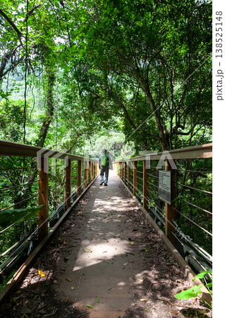 比地大滝の遊歩道 138525148